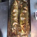 Hollokoi Vendeghaz