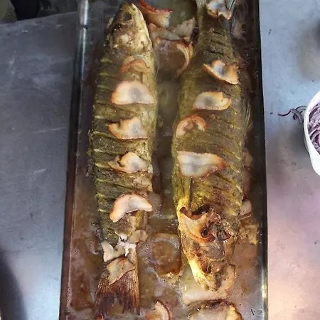 Hollokoi Vendeghaz